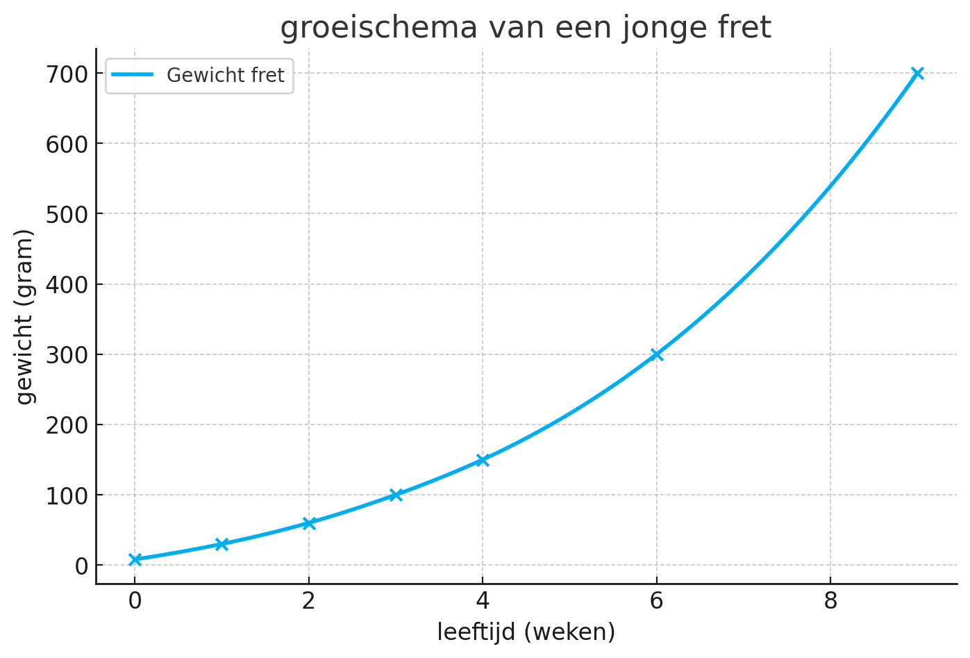 groeischema van een jonge fret