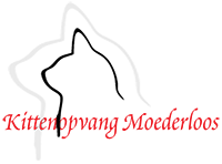 moederloos